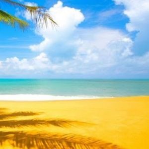 Meet your Posher, Chelsea